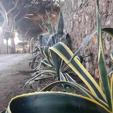 Monte Alzato Vakantiehuis *