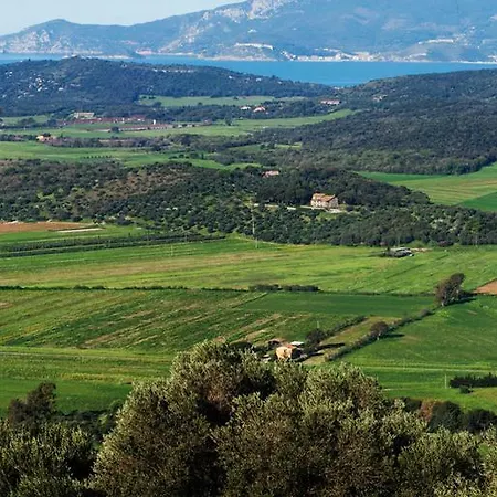 Monte Alzato *
