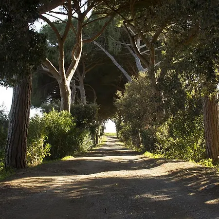 Monte Alzato Capalbio