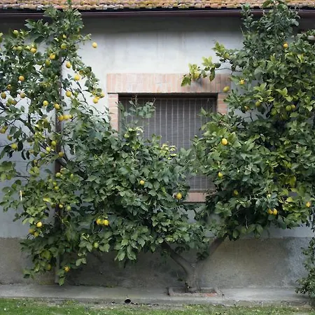 Vakantiehuis Monte Alzato *